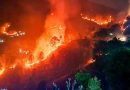 उत्तराखंड के जंगलों में आग का कहर जारी, तीन गुना बढ़ गई आग की दर, नासा ने जारी किया डाटा