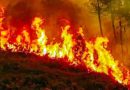 उत्तराखंड के जंगलों में भीषण आग, धुंआ-धुंआ हुये पहाड़