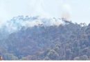नहीं थम रही उत्तराखंड के जंगल में धधकती आग, 600 हेक्टेयर से अधिक जंगल जलकर हुआ खाक