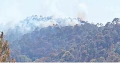 नहीं थम रही उत्तराखंड के जंगल में धधकती आग, 600 हेक्टेयर से अधिक जंगल जलकर हुआ खाक