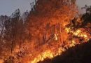 वन विभाग के घर तक पहुंची जंगल की आग, नई टिहरी में भीषण आग