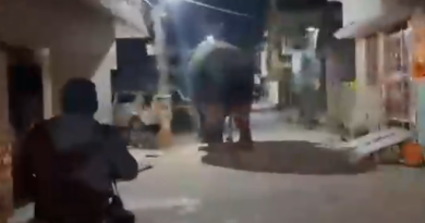 हाथी के पीछे दौड़ाई स्कूटी, फिर जो हुआ देखकर रह जाएंगे दंग