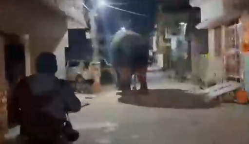 हाथी के पीछे दौड़ाई स्कूटी, फिर जो हुआ देखकर रह जाएंगे दंग