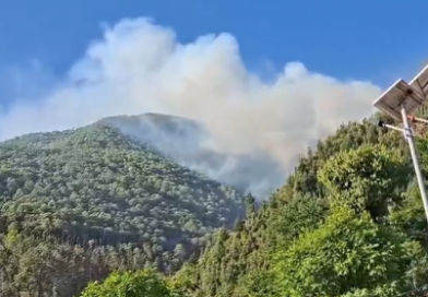 धधक रहे हैं गढ़वाल के जंगल, अप्रैल में ही 42 फीसदी अधिक जंगल जल चुके